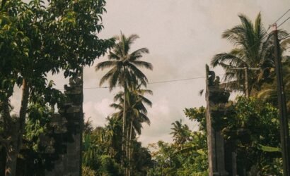 A peaceful road in Bali lined with lush tropical trees and dramatic skies.