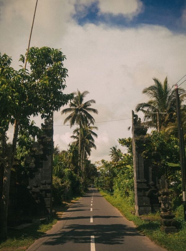 A peaceful road in Bali lined with lush tropical trees and dramatic skies.