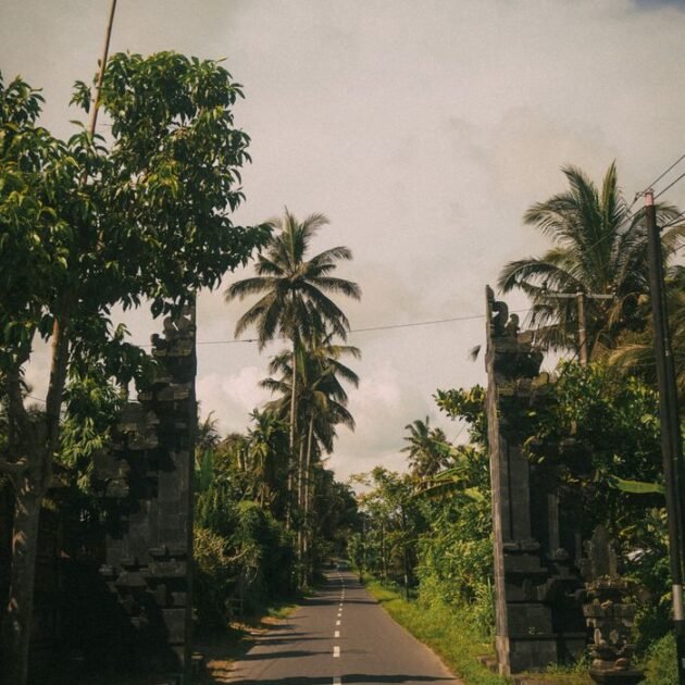 A peaceful road in Bali lined with lush tropical trees and dramatic skies.