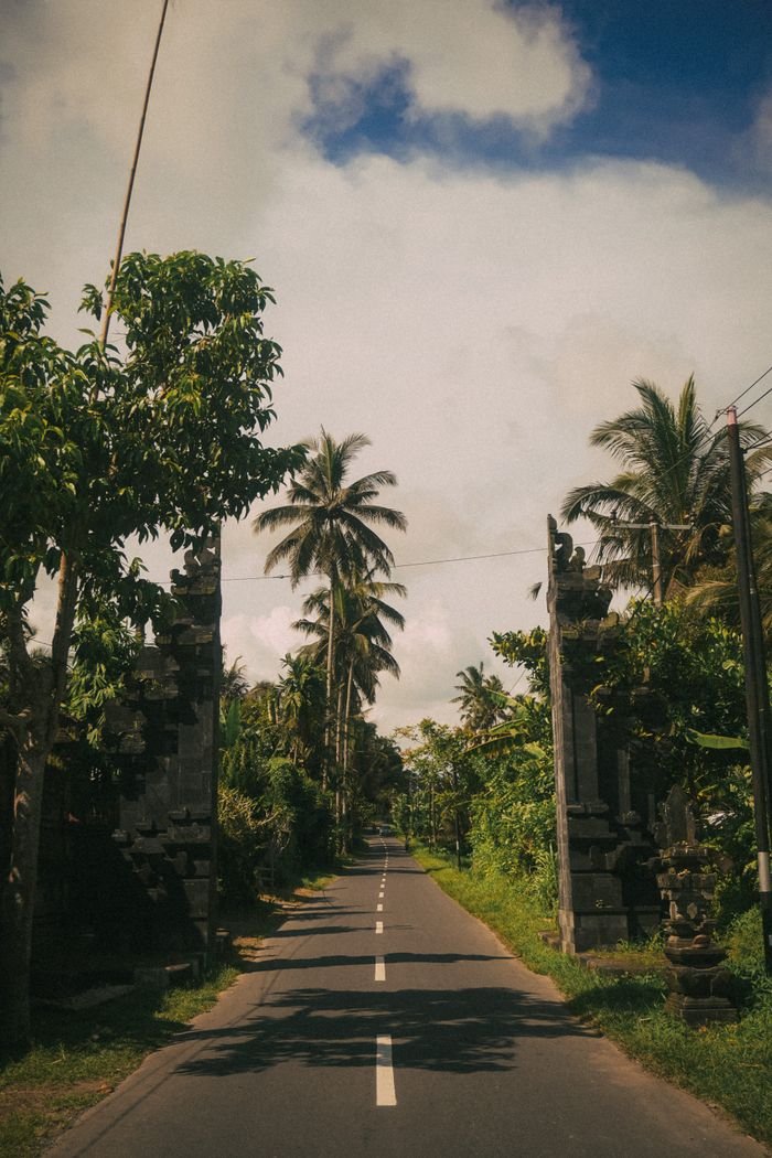 A peaceful road in Bali lined with lush tropical trees and dramatic skies.